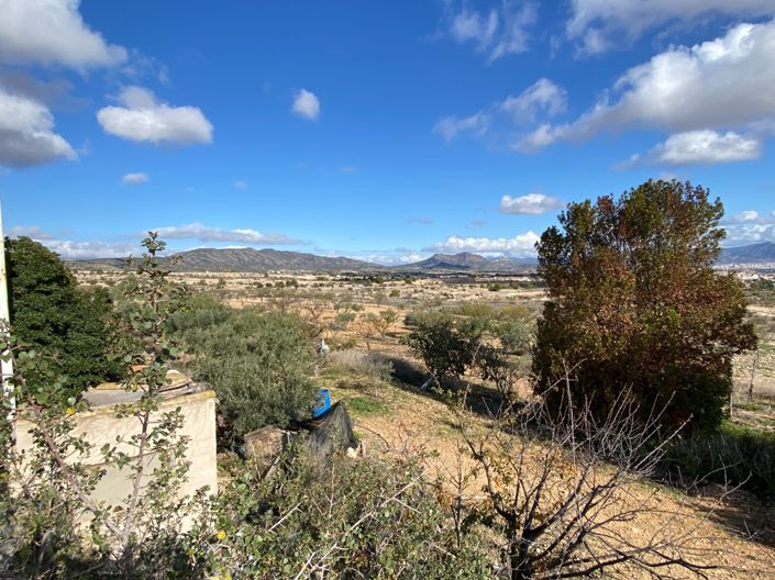 Image No.15-3 Bed Finca for sale