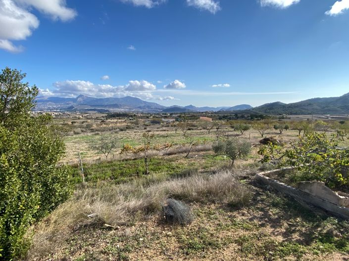 Image No.17-3 Bed Finca for sale