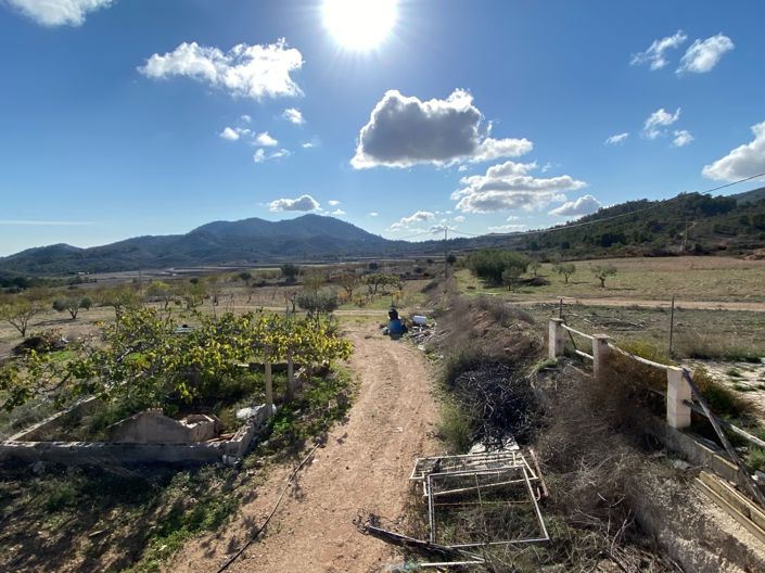 Image No.18-3 Bed Finca for sale