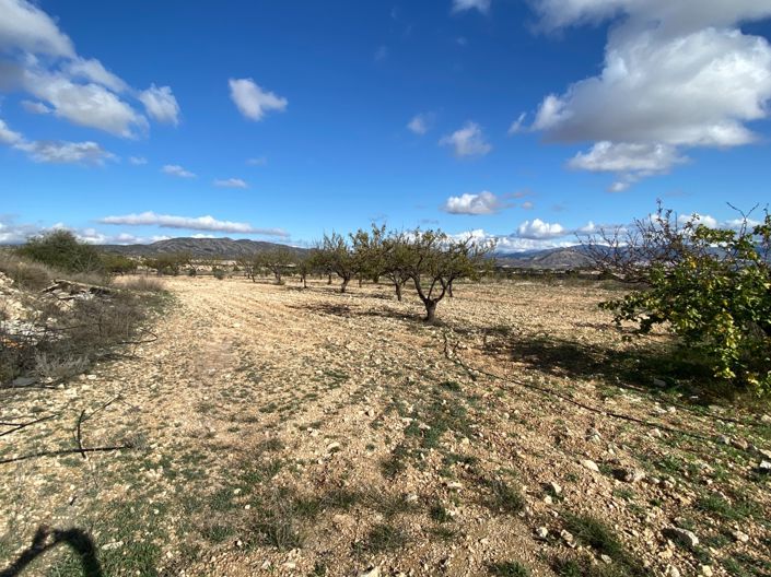 Image No.20-3 Bed Finca for sale