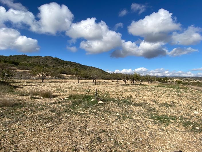 Image No.21-3 Bed Finca for sale