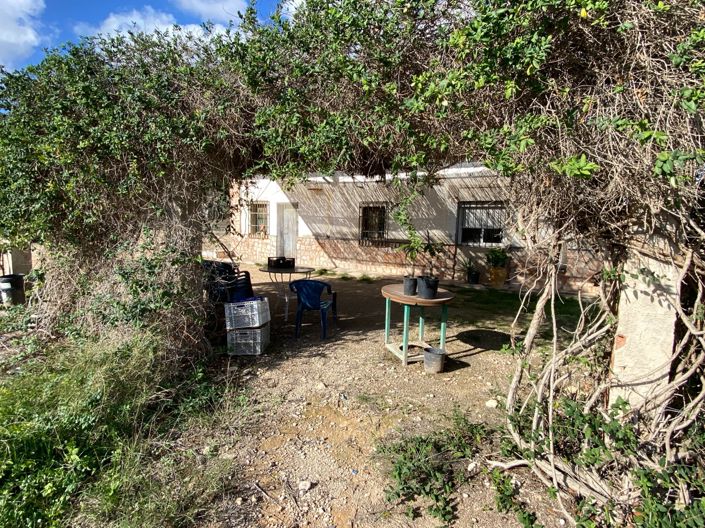 Image No.22-3 Bed Finca for sale