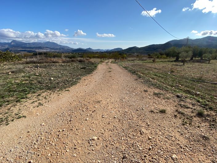 Image No.24-3 Bed Finca for sale