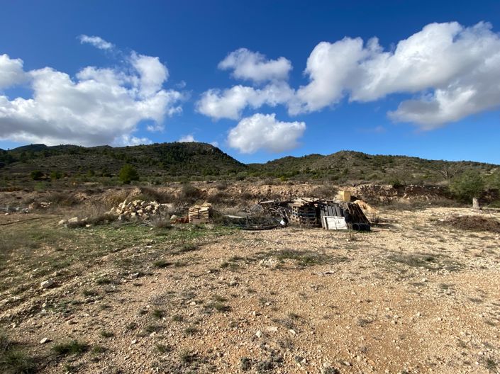 Image No.25-3 Bed Finca for sale