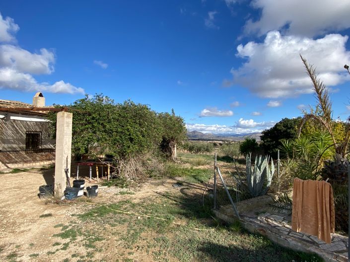 Image No.26-3 Bed Finca for sale