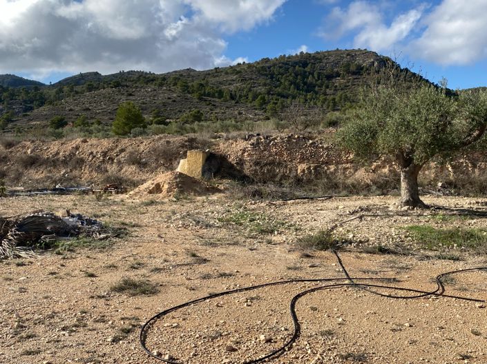 Image No.3-3 Bed Finca for sale