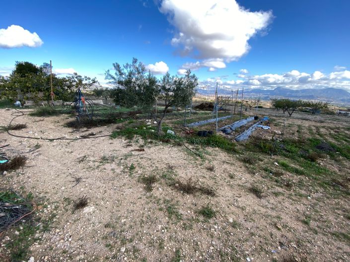 Image No.31-3 Bed Finca for sale