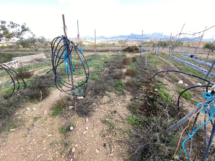 Image No.32-3 Bed Finca for sale