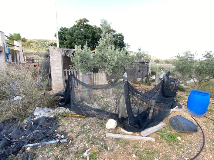 Image No.34-3 Bed Finca for sale