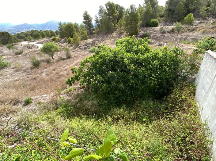 Image No.6-Finca de 4 chambres à vendre à Elda