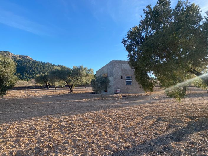 Image No.2-Property for sale