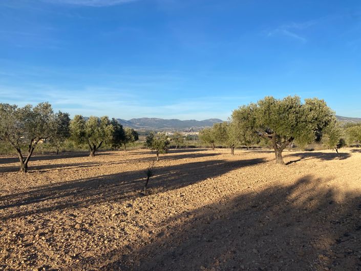 Image No.6-Property for sale