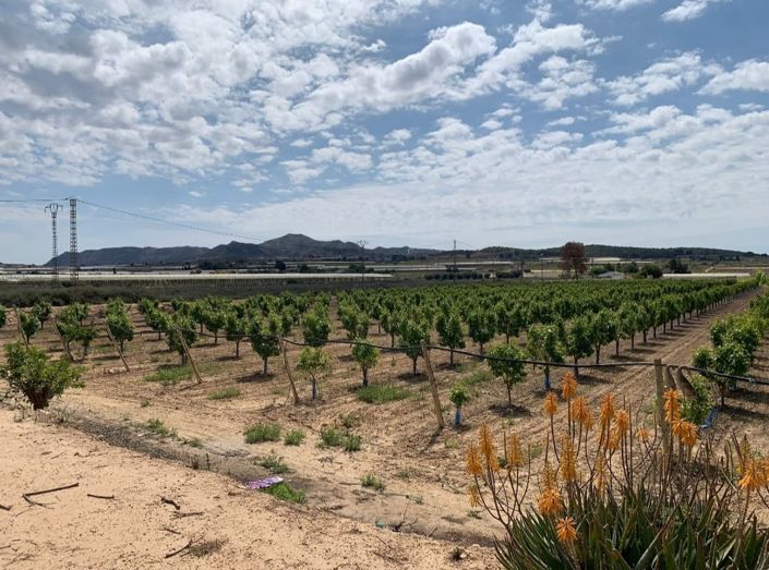 Image No.18-Villa de 3 chambres à vendre à Monforte del Cid
