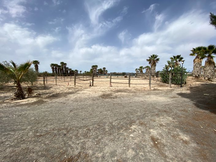 Image No.19-Villa de 3 chambres à vendre à Monforte del Cid