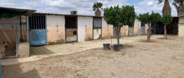 Image No.2-Villa de 3 chambres à vendre à Monforte del Cid