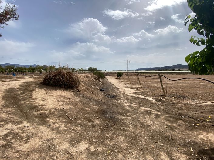 Image No.22-Villa de 3 chambres à vendre à Monforte del Cid