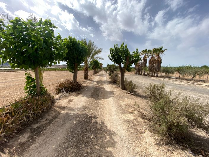 Image No.23-Villa de 3 chambres à vendre à Monforte del Cid