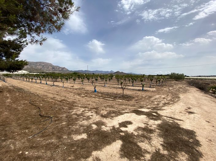 Image No.24-Villa de 3 chambres à vendre à Monforte del Cid