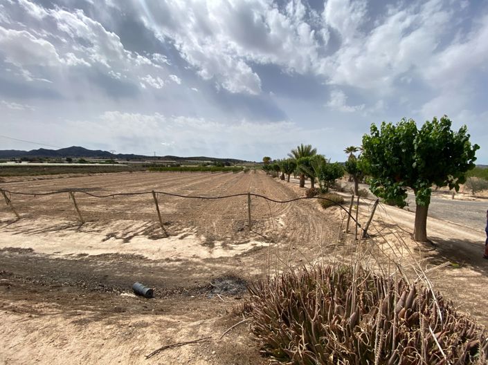 Image No.25-Villa de 3 chambres à vendre à Monforte del Cid