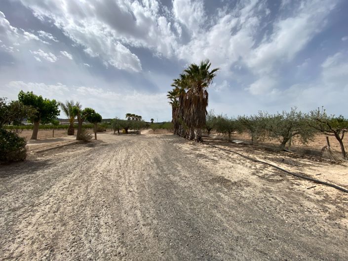 Image No.26-Villa de 3 chambres à vendre à Monforte del Cid