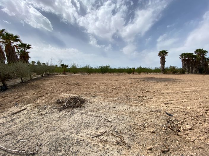 Image No.28-Villa de 3 chambres à vendre à Monforte del Cid