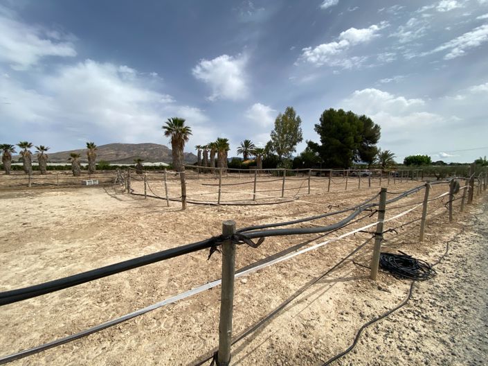 Image No.29-Villa de 3 chambres à vendre à Monforte del Cid