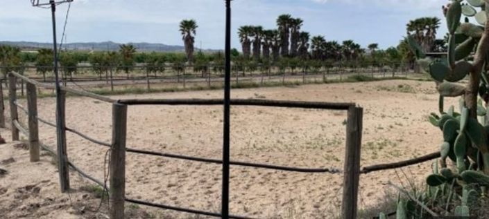 Image No.3-Villa de 3 chambres à vendre à Monforte del Cid