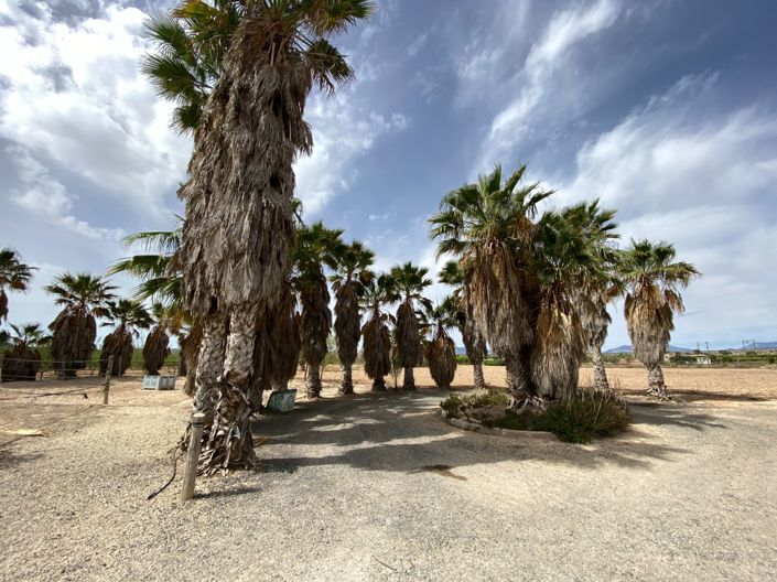 Image No.30-Villa de 3 chambres à vendre à Monforte del Cid