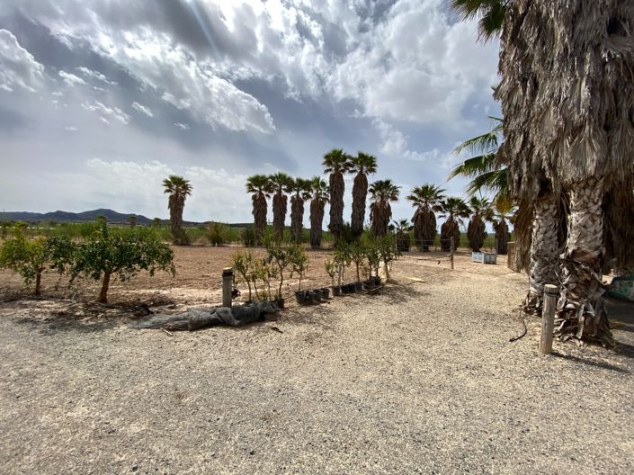 Image No.31-Villa de 3 chambres à vendre à Monforte del Cid