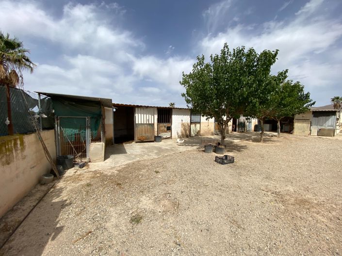 Image No.32-Villa de 3 chambres à vendre à Monforte del Cid