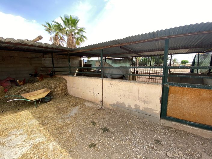 Image No.33-Villa de 3 chambres à vendre à Monforte del Cid