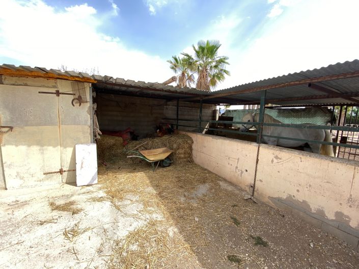 Image No.34-Villa de 3 chambres à vendre à Monforte del Cid