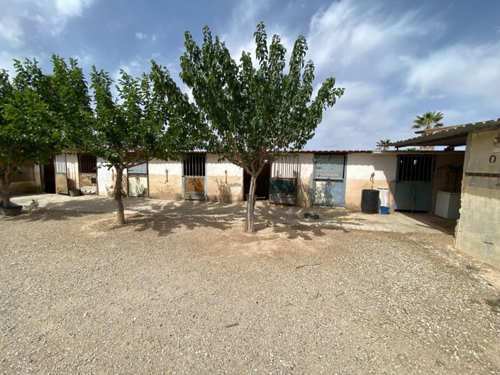 Image No.35-Villa de 3 chambres à vendre à Monforte del Cid