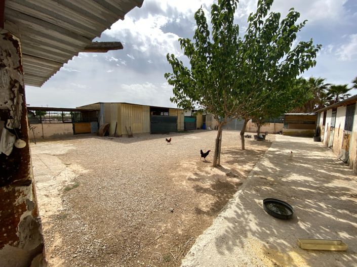 Image No.36-Villa de 3 chambres à vendre à Monforte del Cid