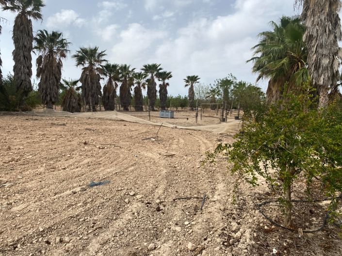 Image No.39-Villa de 3 chambres à vendre à Monforte del Cid