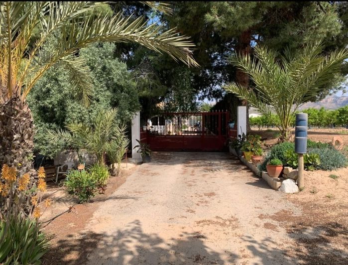 Image No.4-Villa de 3 chambres à vendre à Monforte del Cid