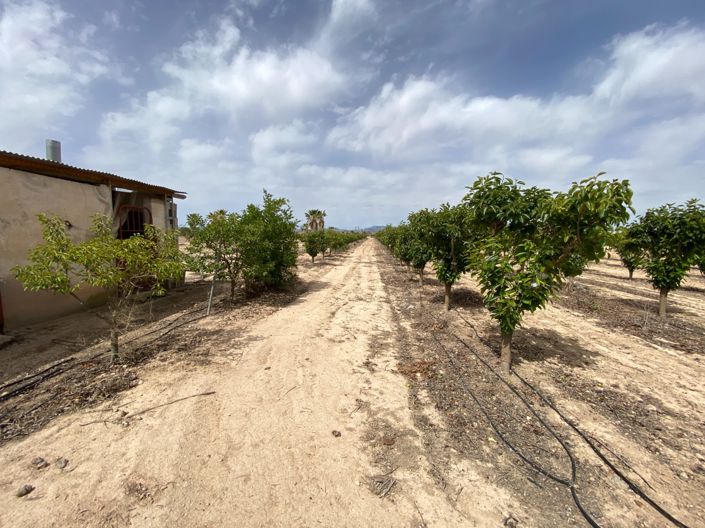 Image No.41-Villa de 3 chambres à vendre à Monforte del Cid