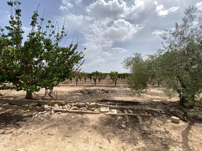 Image No.42-Villa de 3 chambres à vendre à Monforte del Cid