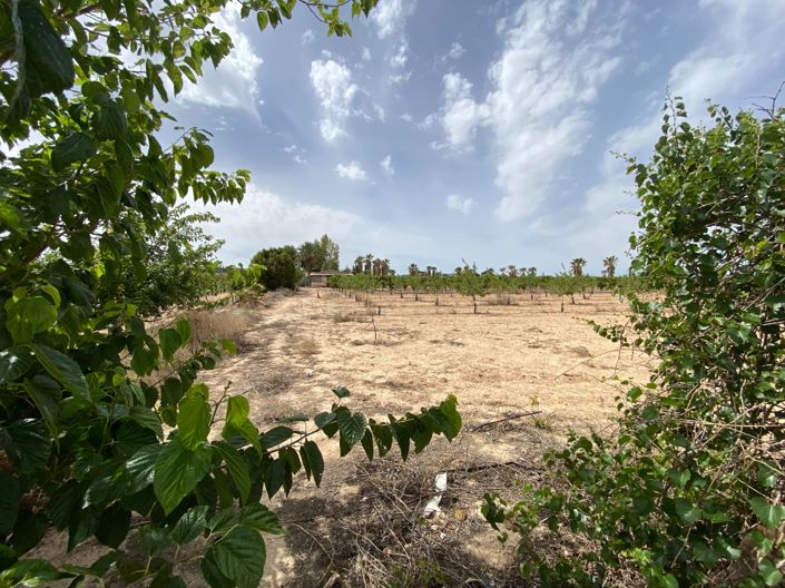 Image No.47-Villa de 3 chambres à vendre à Monforte del Cid