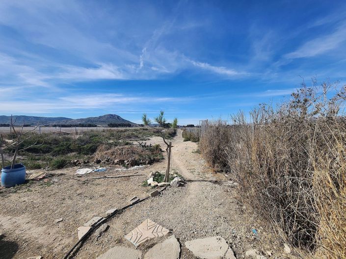 Image No.21-2 Bed Finca for sale