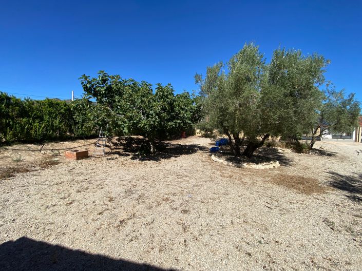 Image No.40-3 Bed Country House for sale