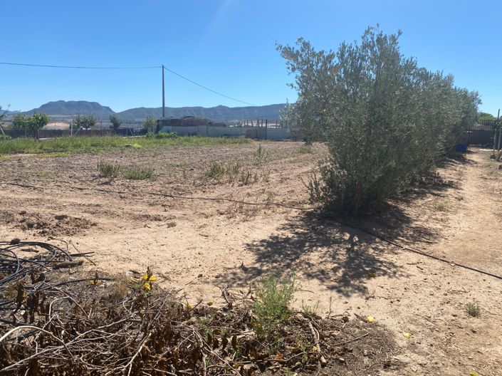 Image No.43-3 Bed Country House for sale