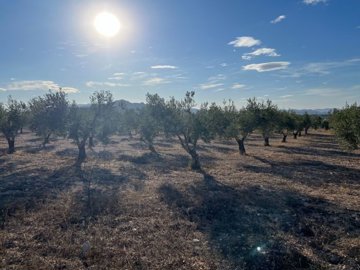 o1j4sr868q19131etn2d1t8i15ia2j