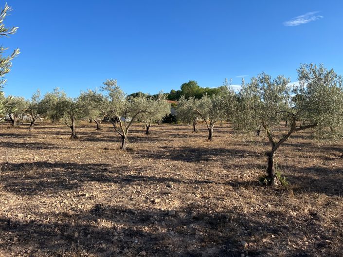 Image No.15-1 Bed Finca for sale