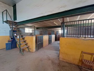 o1j9rtcj7g179u1j1g11fc1p6rr591l