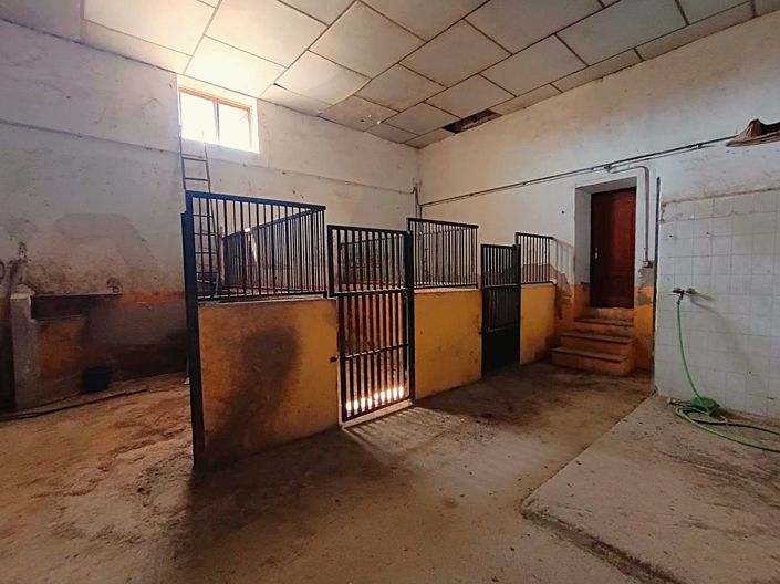 Image No.43-6 Bed Country House for sale