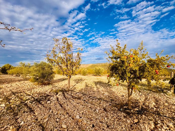 Image No.33-3 Bed Villa for sale