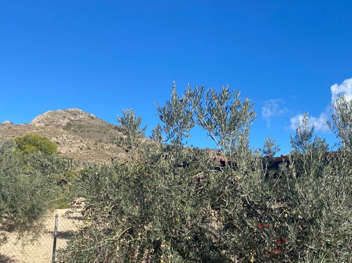 Image No.30-3 Bed Villa for sale