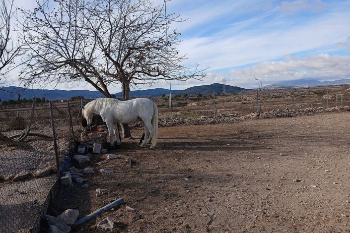 Image No.35-2 Bed Finca for sale