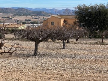 o1jfiq5crjvmbit7qfr12uhrjmd5